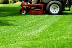 Cutting