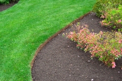Edging-With-Bed-2
