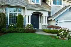 nice-house