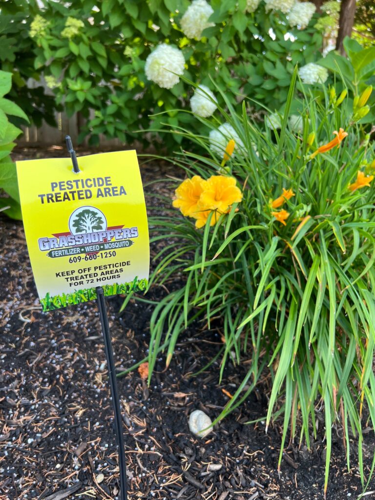 Professional Plant Health Care & Shrub Care Services in Ocean County, NJ