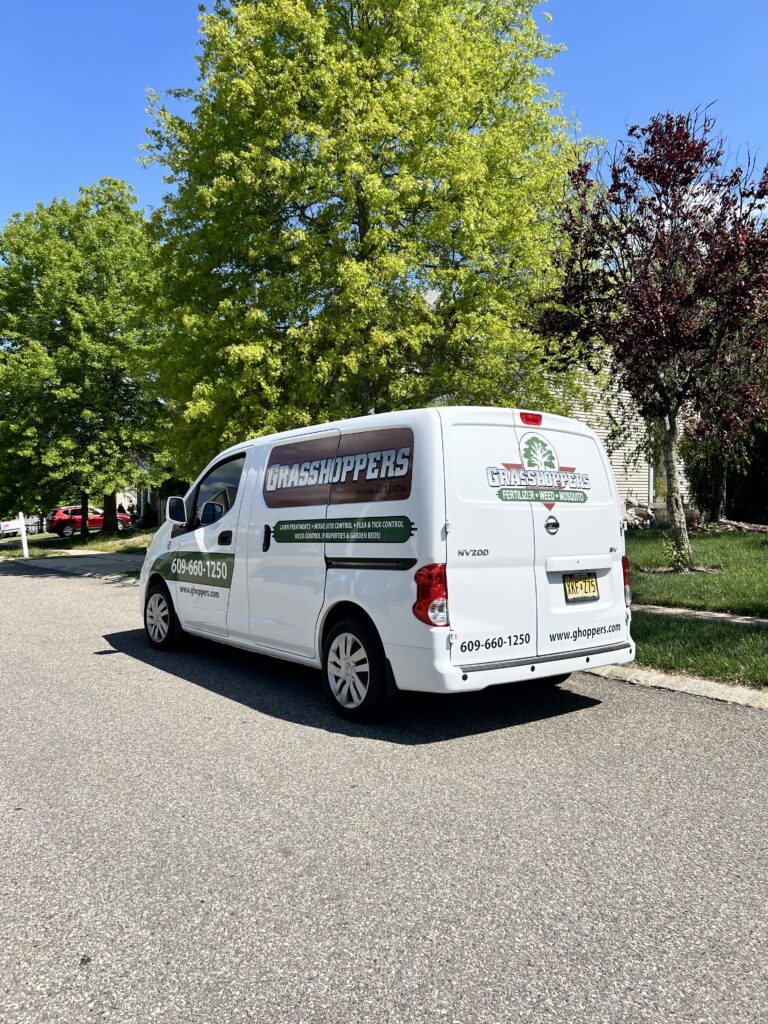 How We Care for Ocean County Lawns & Landscapes